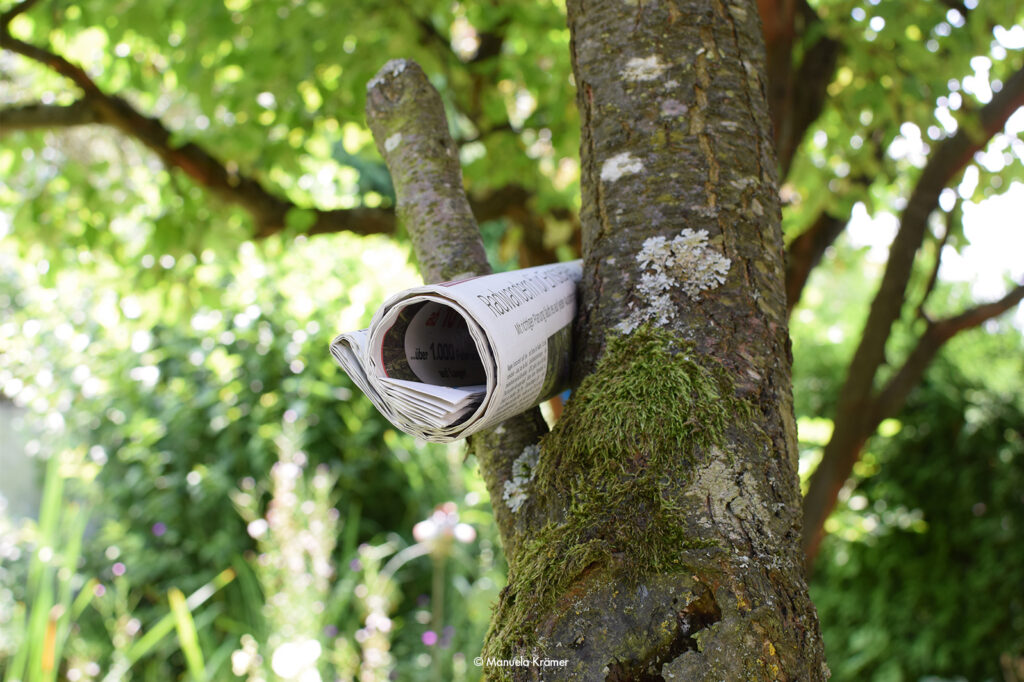 Zeitungsrolle in Astgabel zeigt Pressetexte von Manuela Krämer, Federkunst