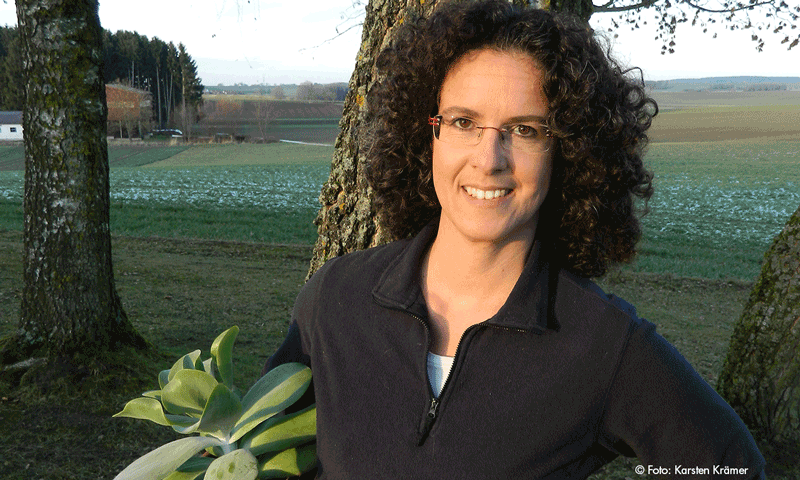 Gute Texte - Manuela Krämer schreibt für dich!