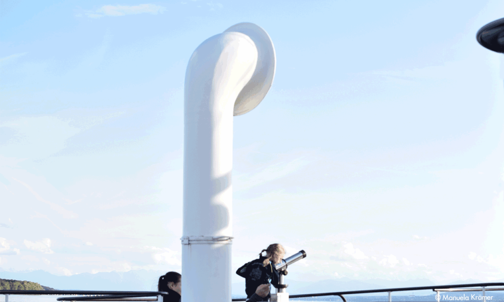 Solarpunk, das ist Fridays for Future als literarisches Genre