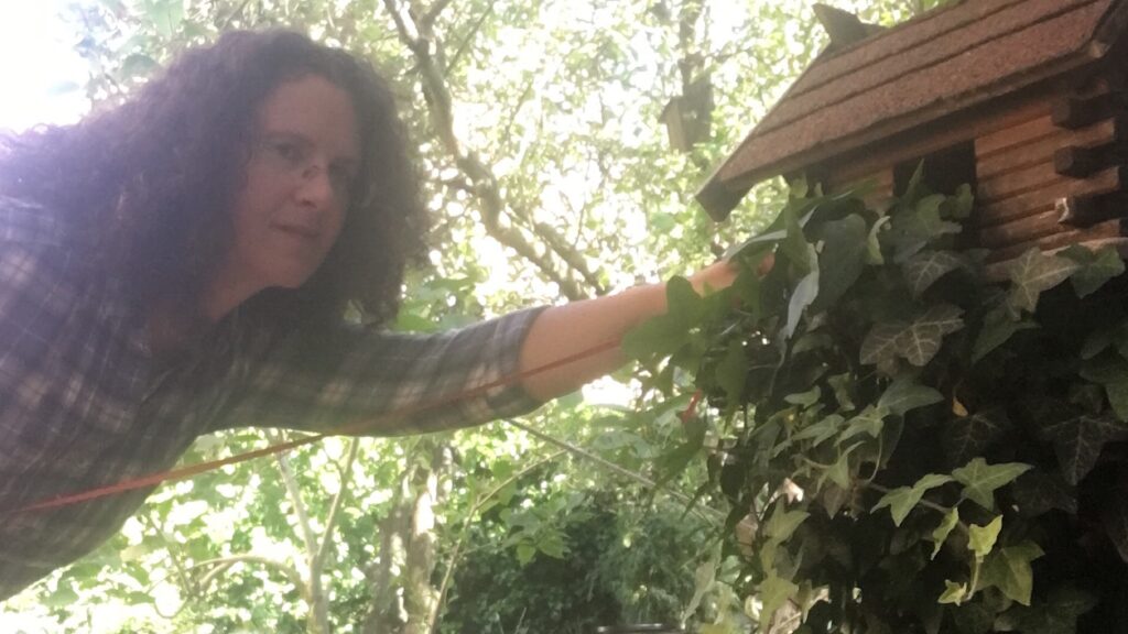 Mein roter Faden im Storytelling