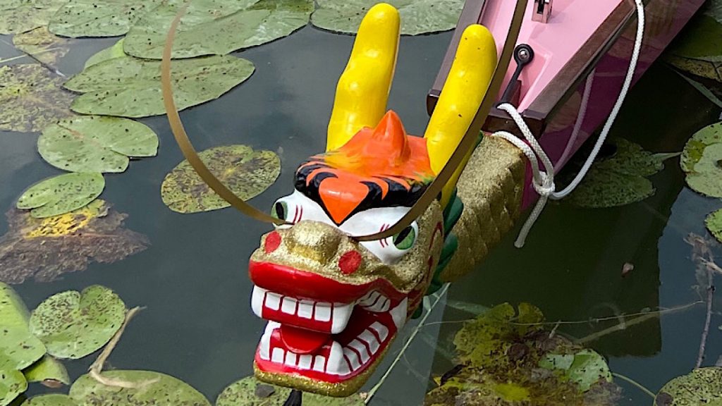 Drachenbootfahren in Bad Waldsee