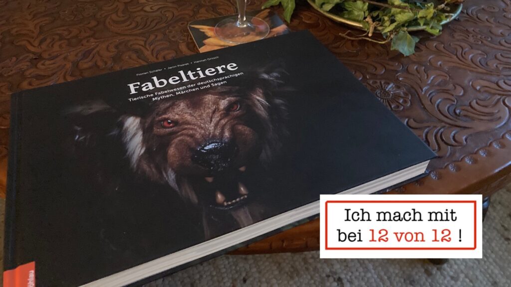 Überrascht am 12 von 12 im Dezember 2023