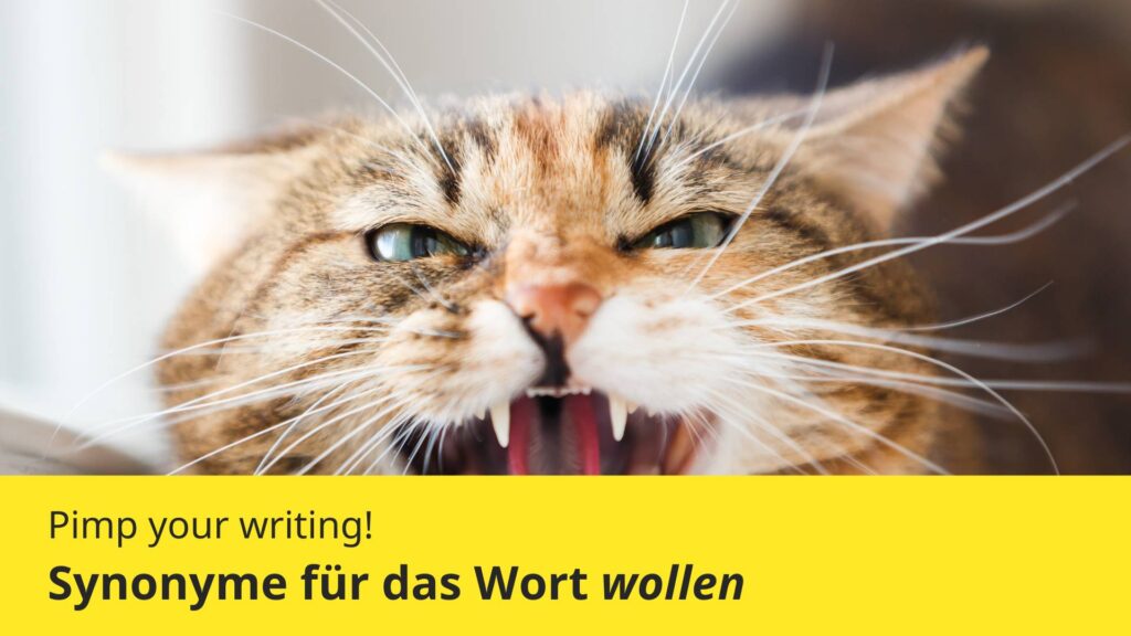 Synonyme für wollen