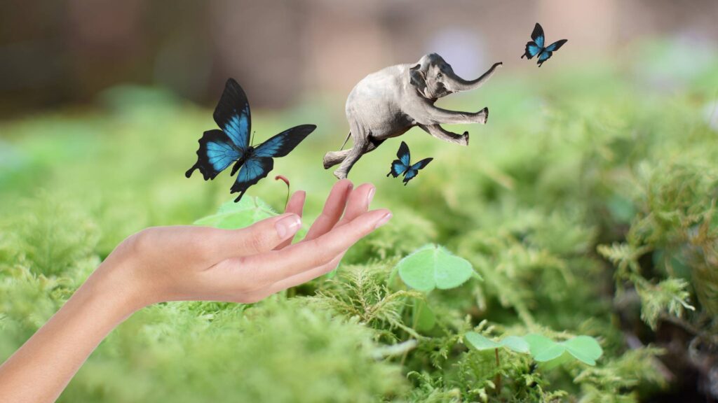 Wie wir uns mit Storys selbst beeinflussen.