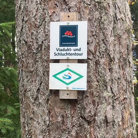 Wanderweg im Schwarzwald