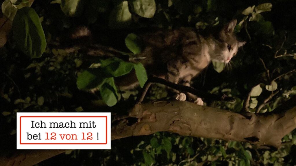 Tigerkatze auf Baum in der Nacht.